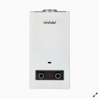 Calefón Tiro Natural Ionizado 10L Gas Natural GWH-TN10L